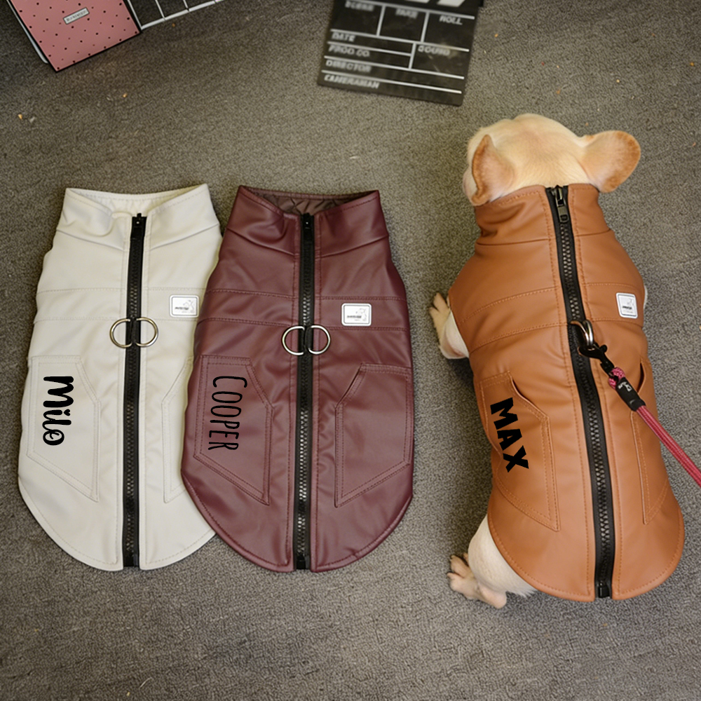 Personalized Pet Winter Warm Windproof Leather Jacket | BKPet361