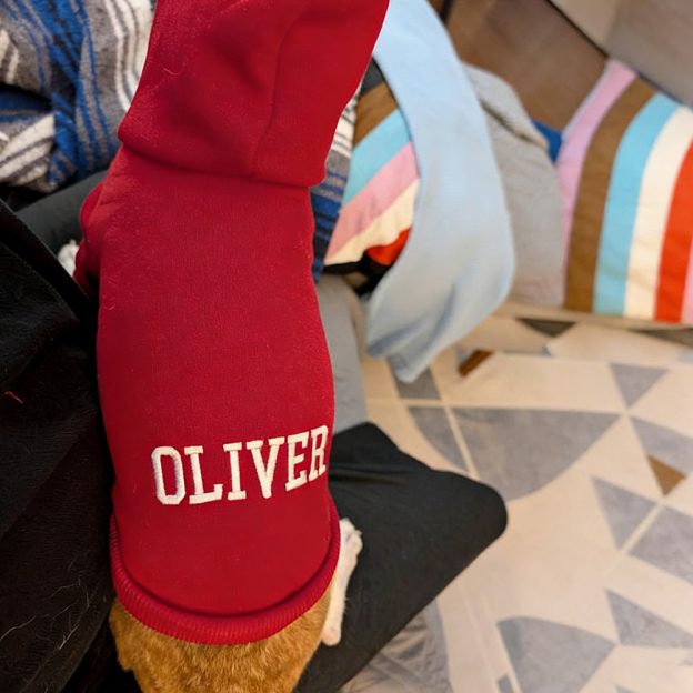 Personalized Embroidery Warm Soft Puppy Hoodie | BKPet362