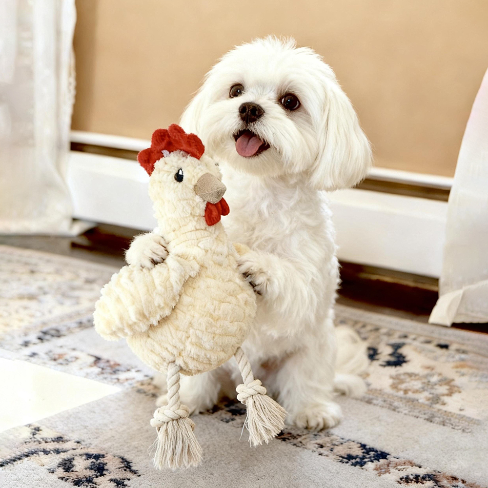 Handmade Pet Squeaky Interactive Chew Toy | MNToy19