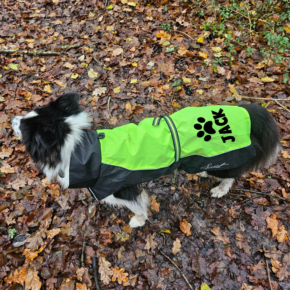 Personalized Pet Large Size Waterproof Raincoat Jacket | BKPet414