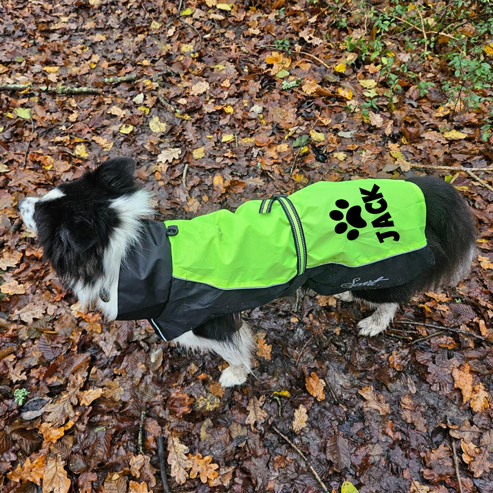 Personalized Pet Large Size Waterproof Raincoat Jacket | BKPet414