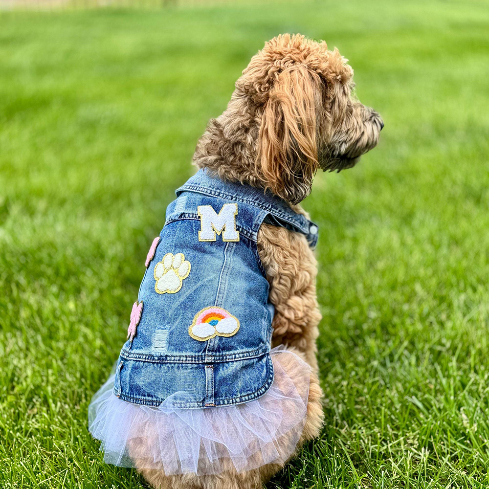 Personalized Hand Patch Pets Denim Jacket with TUTU Skirt | BKPet424