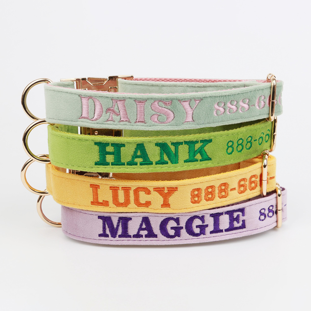 Personalized Embroidered Adjustable Velvet Pet Collar | BKPet425