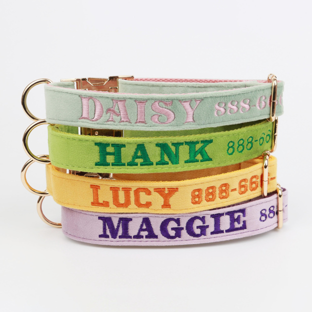 Personalized Embroidered Adjustable Velvet Pet Collar | BKPet425