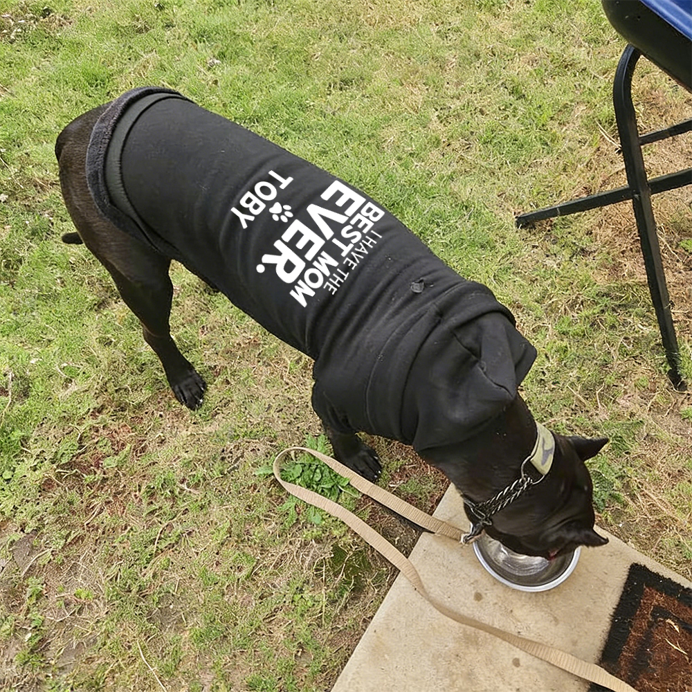 Personalized I Have the Best Mom Ever Pet Soft Hoodie | BKPet430