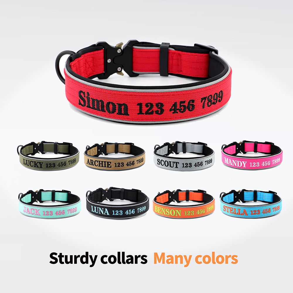 Personalized Embroidered Dog Collar & Leash Set | BKPet434