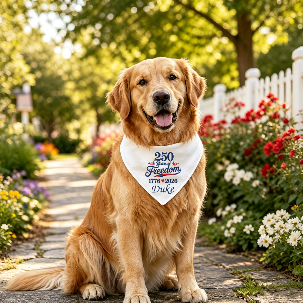 Personalized 250th Anniversary Independence Day Dog Bandana | BKPet508