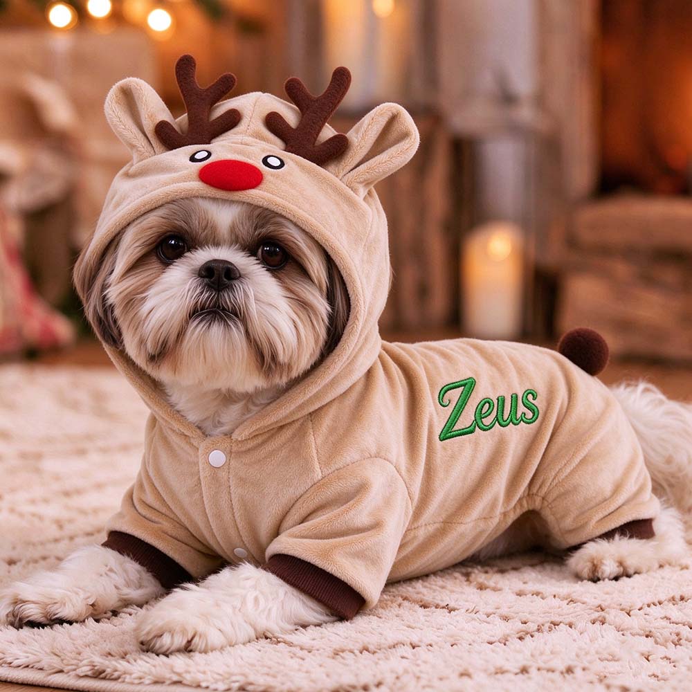 Personalized Embroidered Pets Christmas Reindeer Outfit | MNCloth276