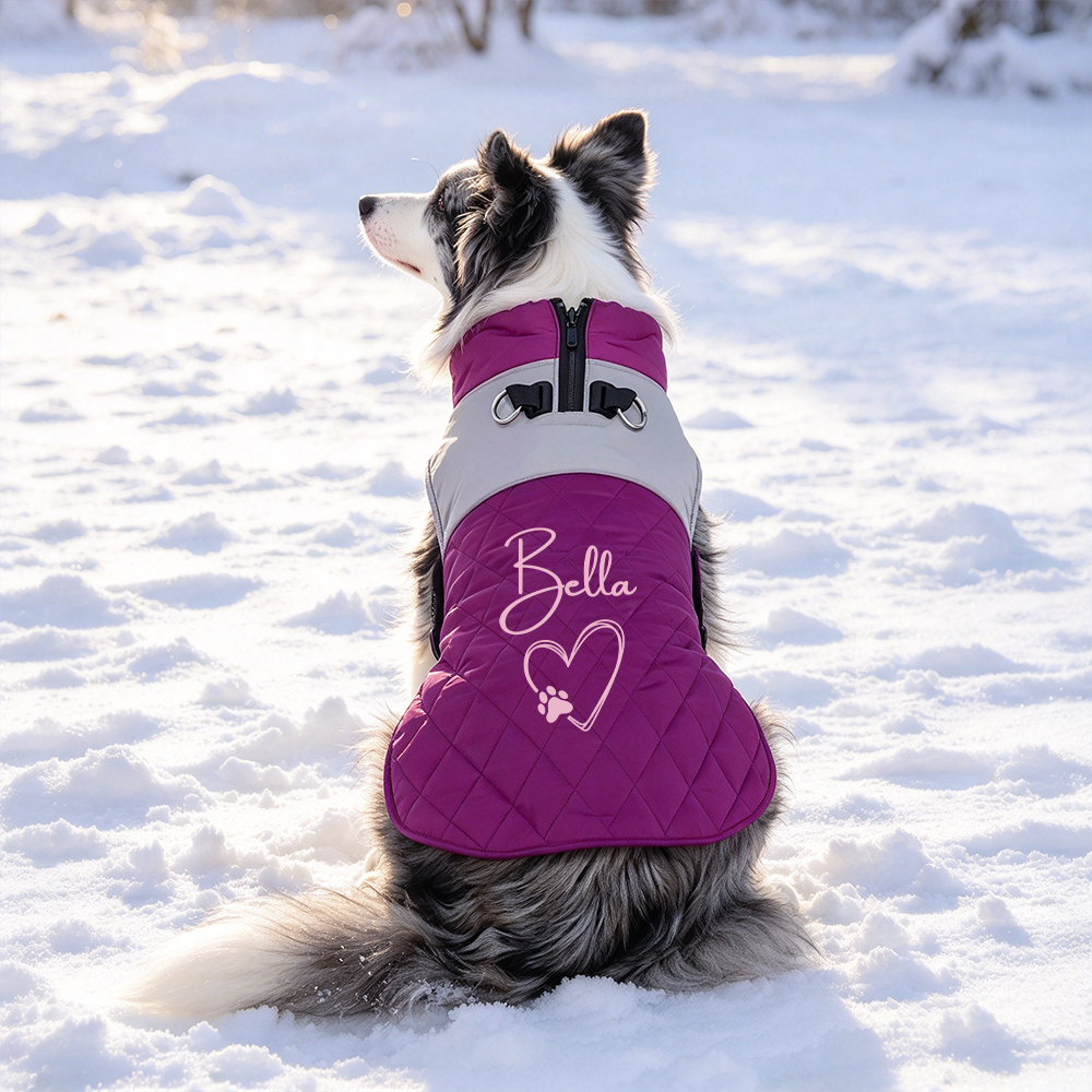 Personalized Winter Warm Windproof Puffer Jacket for Pets | BKPet615