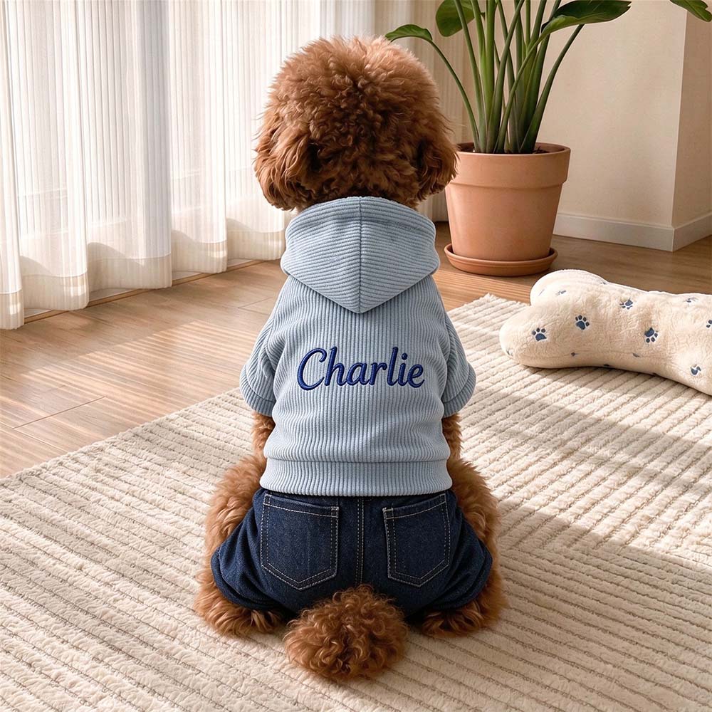 Personalized Embroidered Corduroy Hooded Dog Outfit | BKPet655