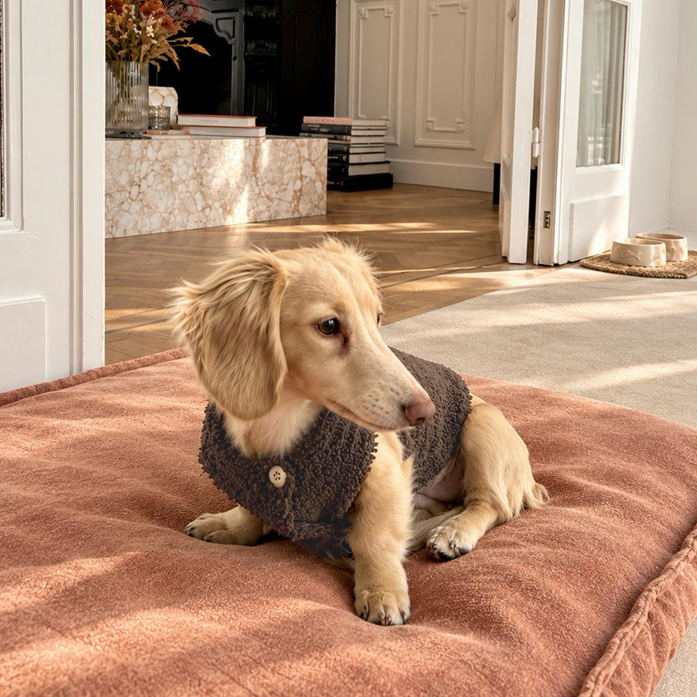 Personalized Embroidered Pets Warm Sweater & Sherpa Vest Set | MNCloth298