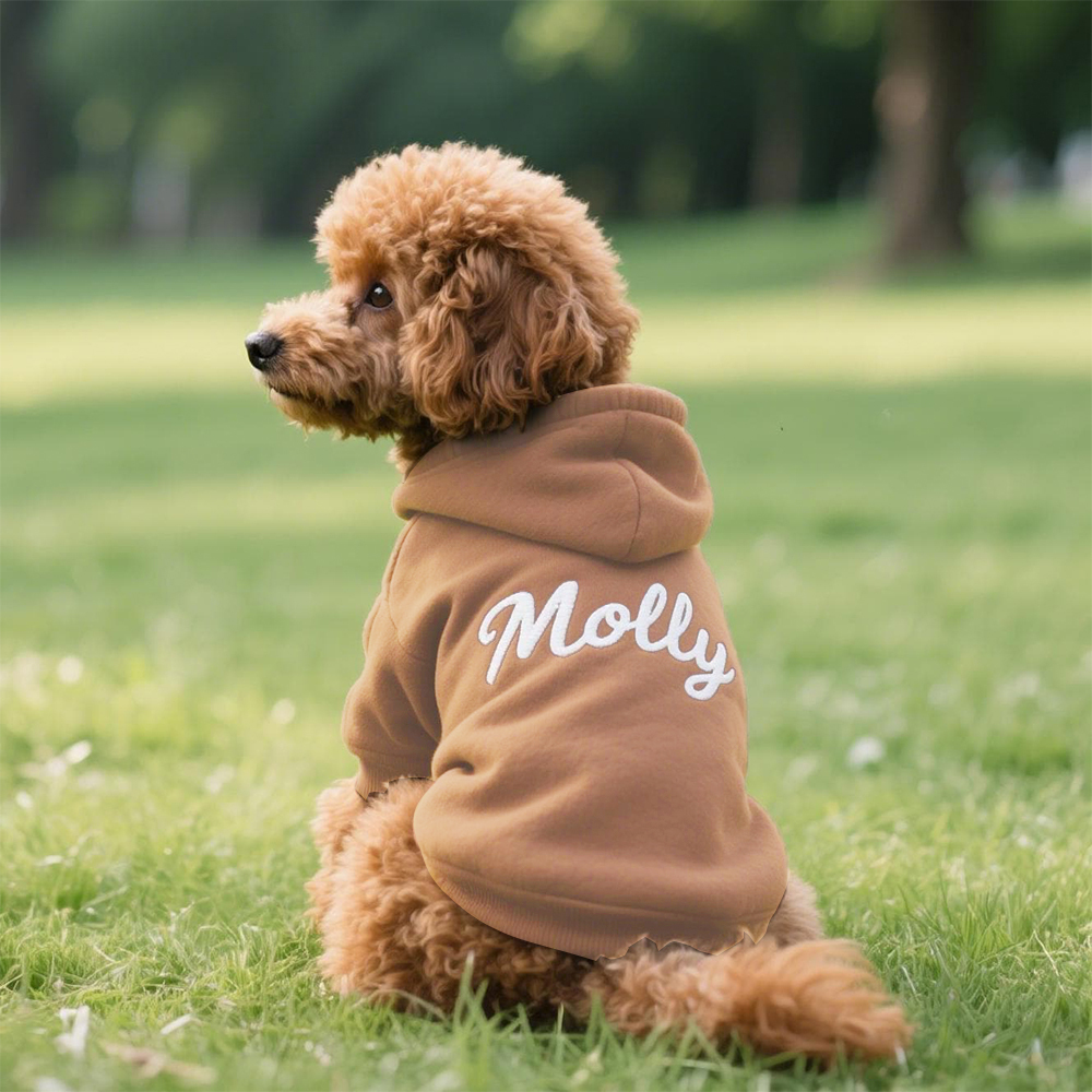 Personalized Embroidery Warm Soft Puppy Hoodie | MNCloth141