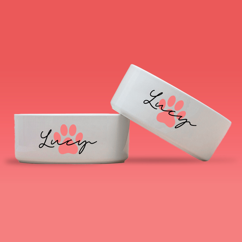Personalized Pet Paw Print Design Dog Bowl  | BKPet41