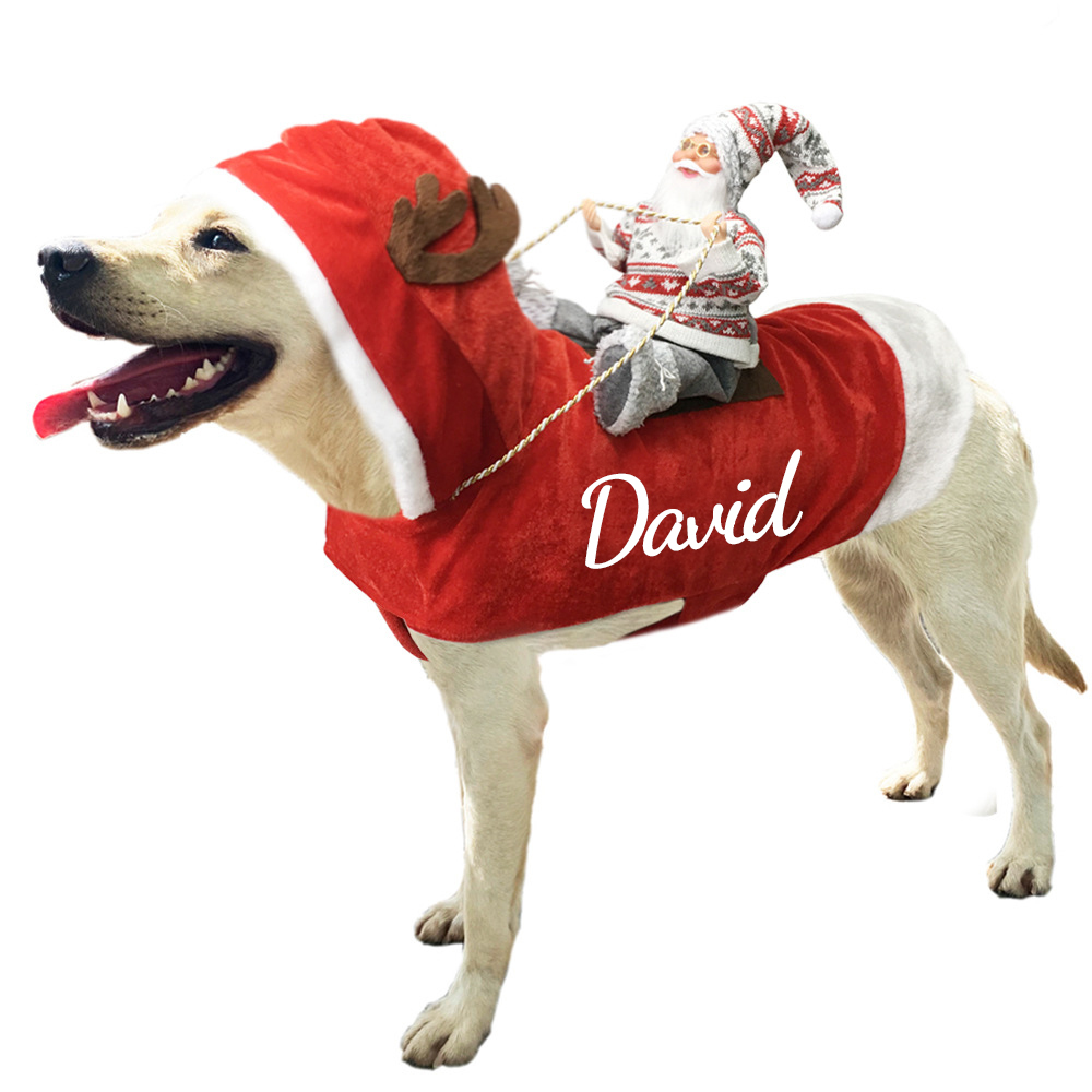 Personalized Christmas Santa Pet Riding Clothes | BKPet96