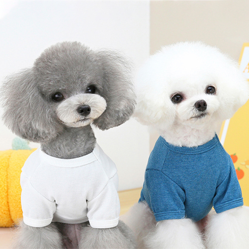 Personalized Pet Cute Comfort Shirt | BKPet178