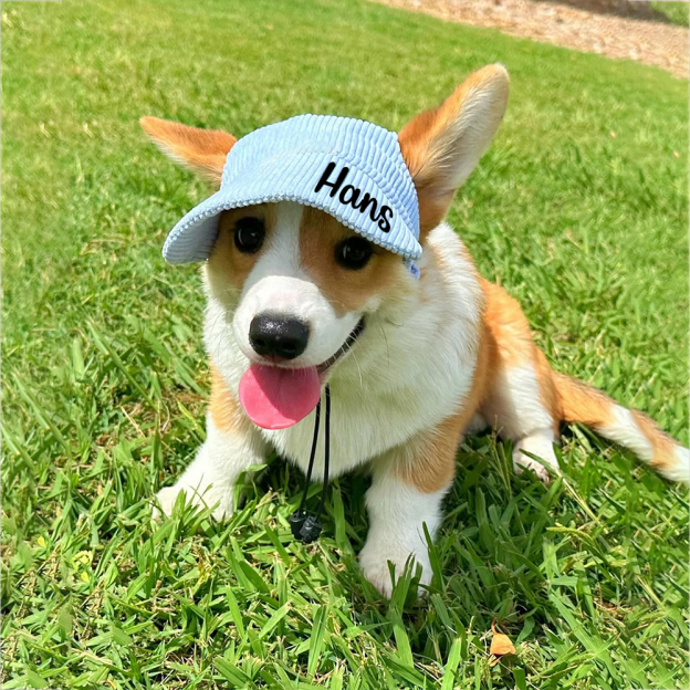 Personalized Corduroy Adjustable Pet Pet Baseball Cap | BKPet184