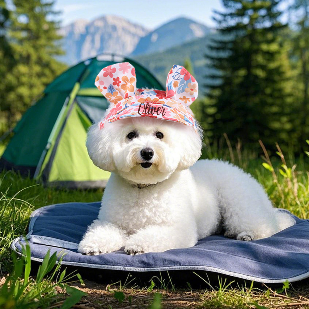 Personalized Embroidery Lovely Pet Hat with Ears | BKPet185