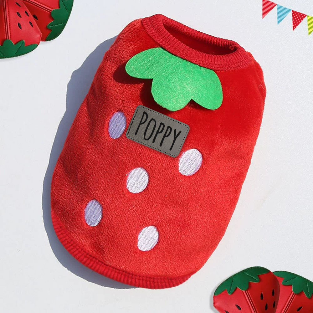 Personalized Cute Pet Soft Plush Fleece Vest | BKPet194