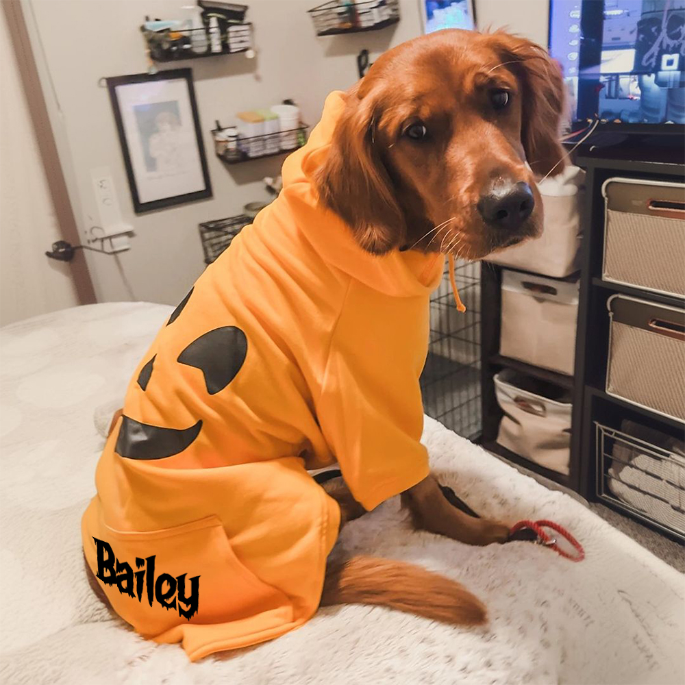 Personalized Halloween Puppy Hoodie for Comfort & Unique | CWHalloween56