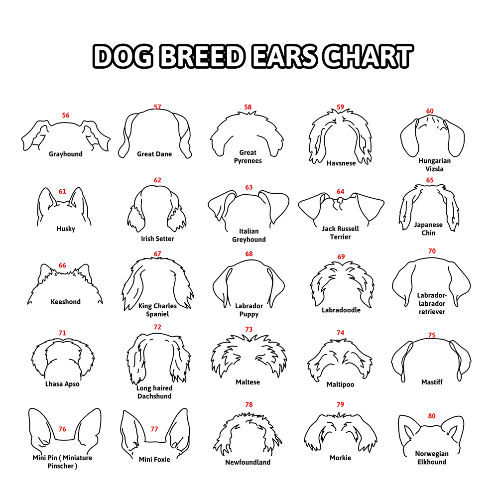 Personalized Memorial Plaque Dog Ear Collar Sign | BKPet212