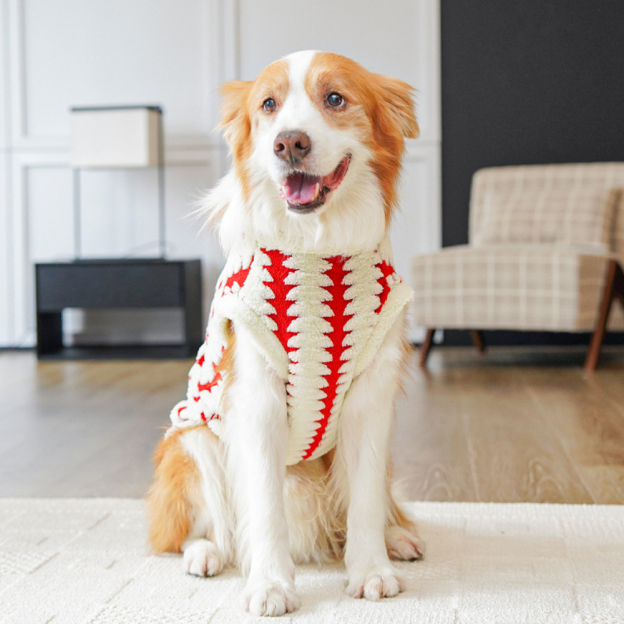 Personalized Leather Patch Warm Coral Fleece Dog Winter Coat | BKPet242