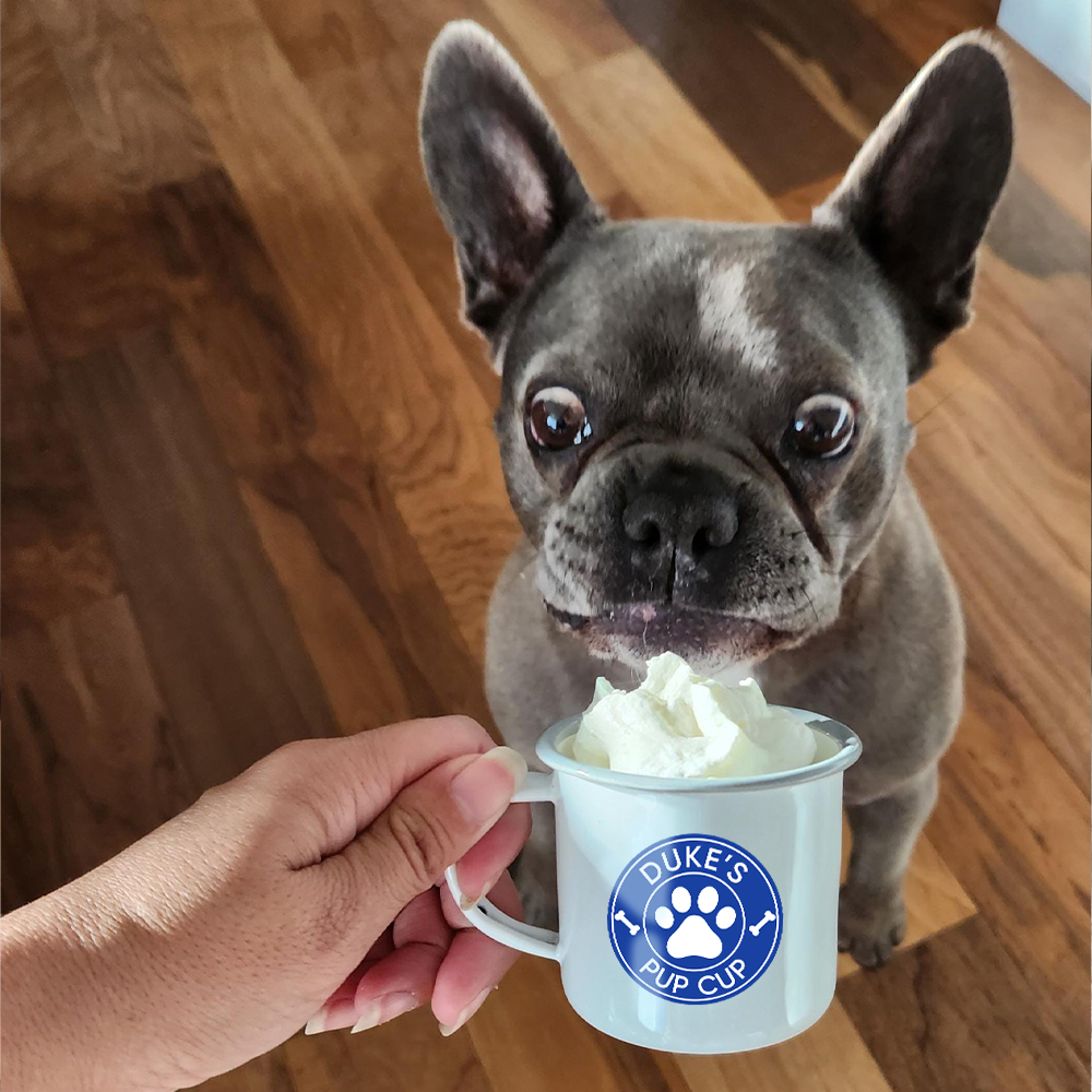 Personalised 12oz Pet Enamel Reusable Pup Cup Mug | BKPet280
