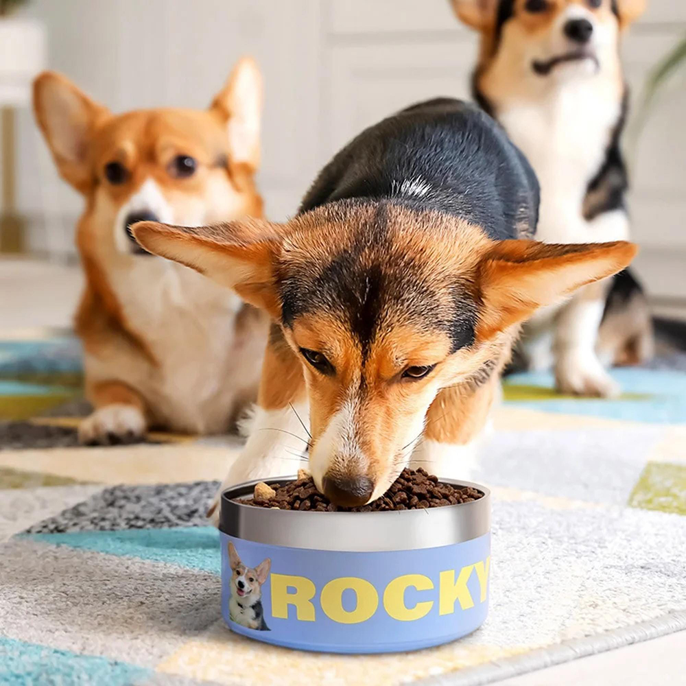 Personalized Stainless Steel Funny Pet Face with Name Food Bowl | BKPet306
