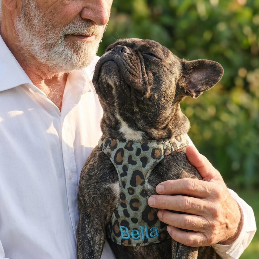 Personalized Embroidered Pet Leopard Print Harness Leash Set | MNAccs86