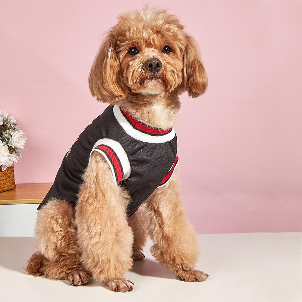 Personalized Pet Basketball Breathable Sport Jersey | BKPet169