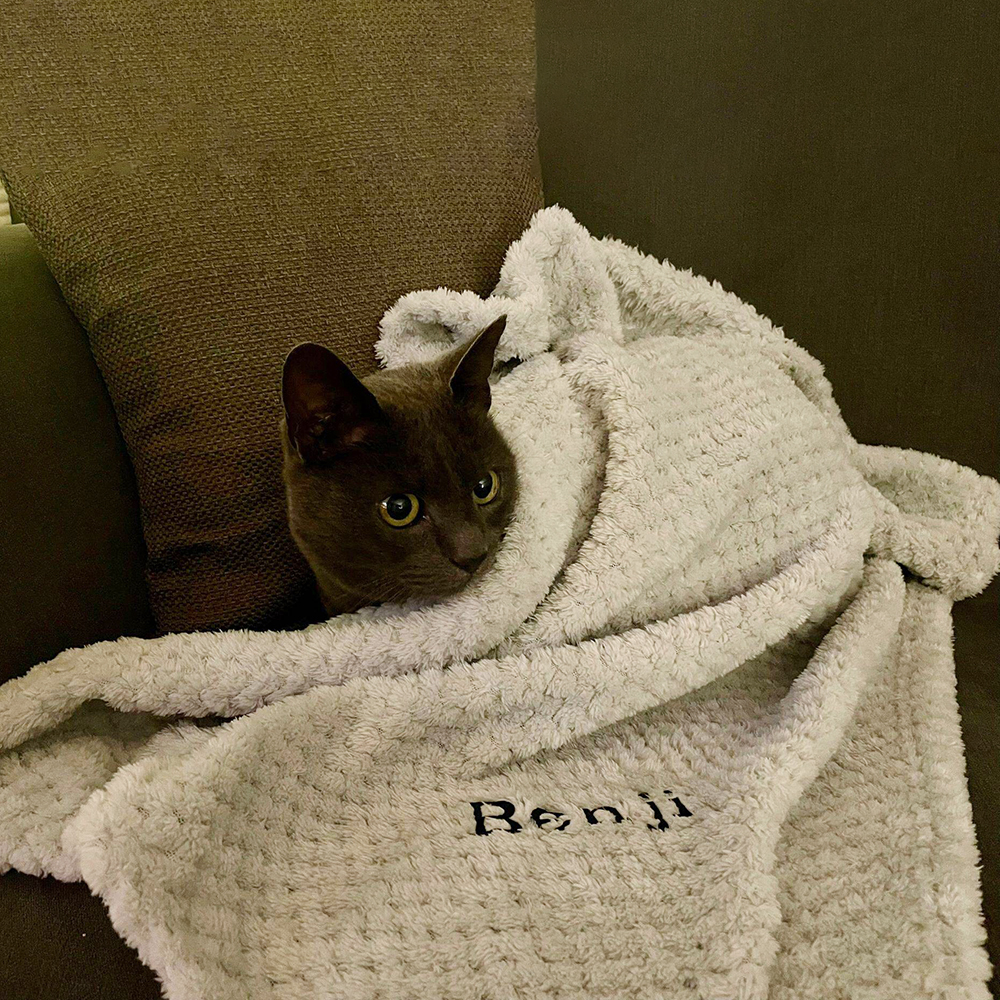 Personalized Embroidered Pet Soft Waffle Blanket | BKPet197