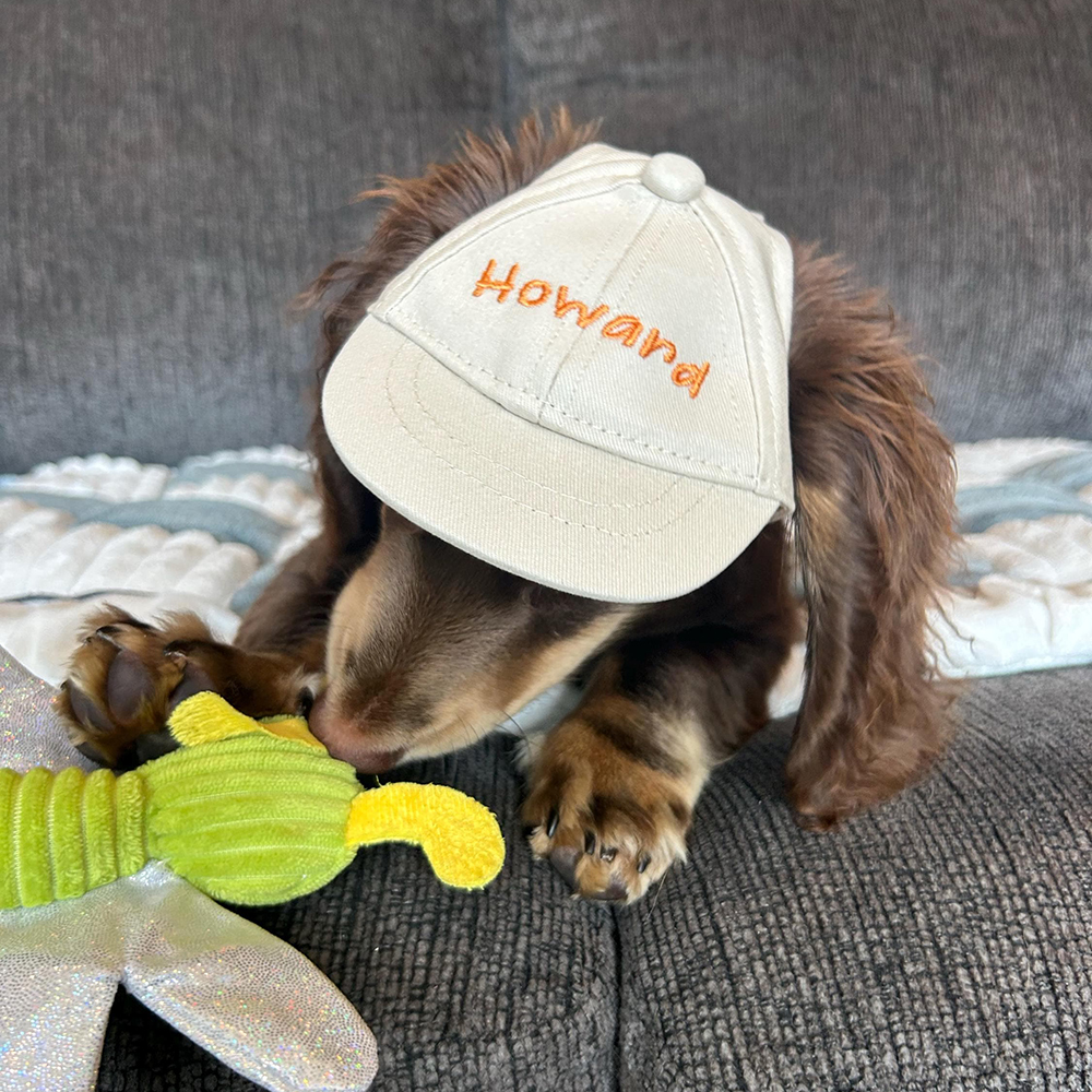 Personalized Embroidery Pet Adjustable Baseball Cap | BKPet182