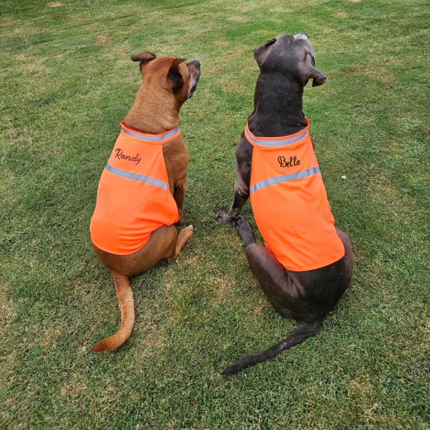 Personalized Pet Reflective Safety Bandana & Vest Set | BKPet163