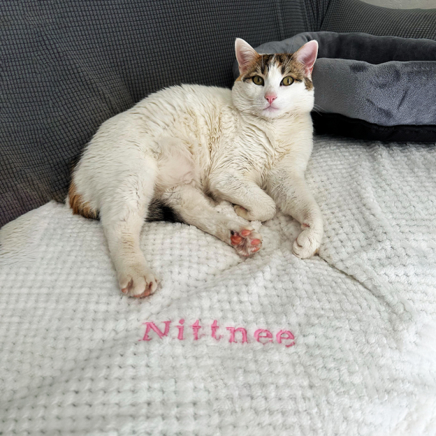 Personalized Embroidered Pet Soft Waffle Blanket | BKPet197