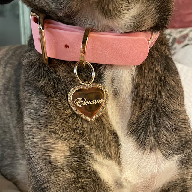 Personalized Heart Shape with Clear Rhinestones Pet Tag | BKPet84
