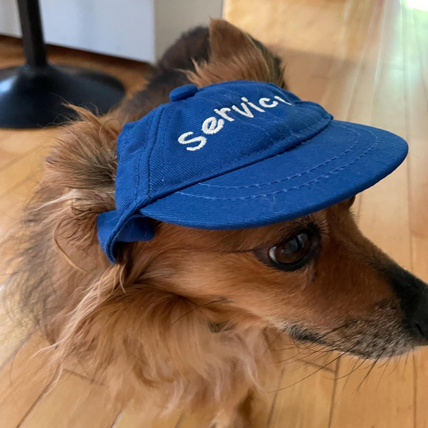 Personalized Embroidery Pet Adjustable Baseball Cap | BKPet182