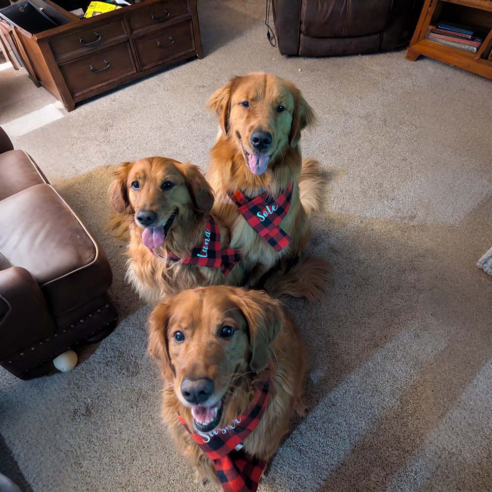 Personalized Pets Christmas Adjustable Plaid Scarf | BKPet642