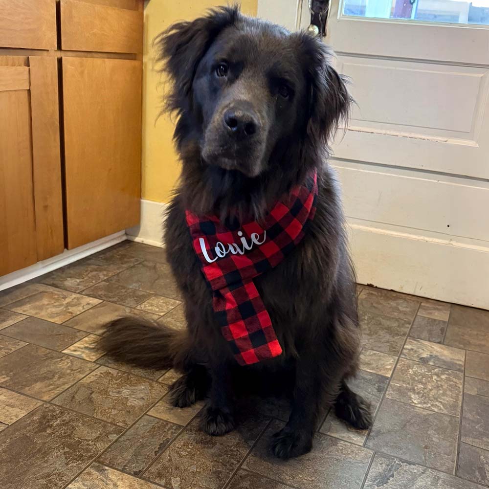 Personalized Pets Christmas Adjustable Plaid Scarf | BKPet642