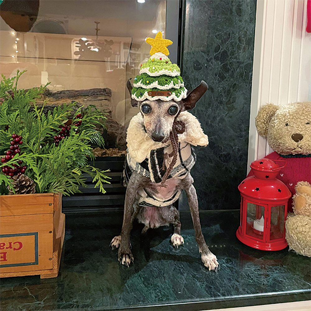 Personalized Crochet Leather Patch Christmas Tree Pet Hat | MCGift79