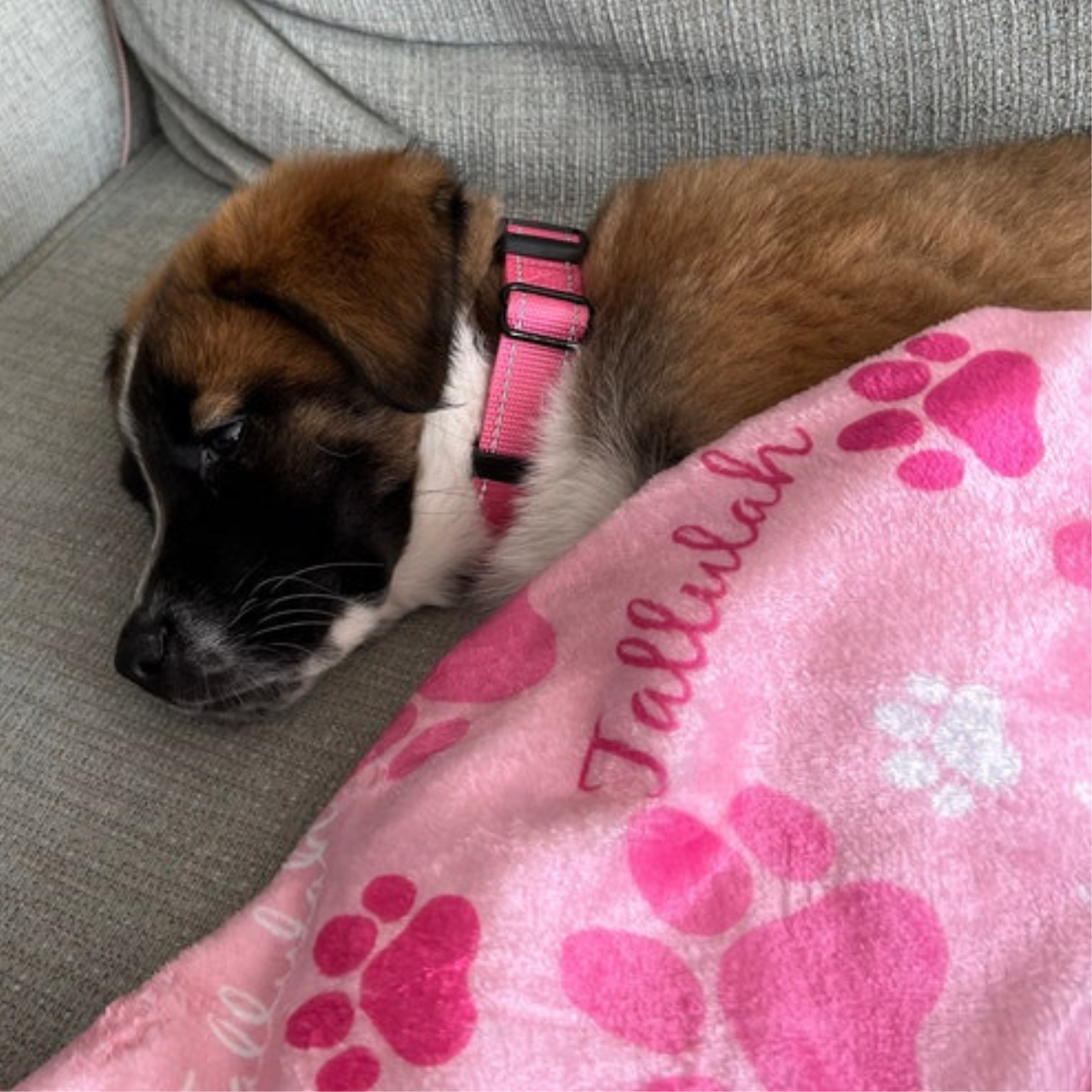 Personalized Lovely Pet Blanket for Comfort & Unique | BKPet04