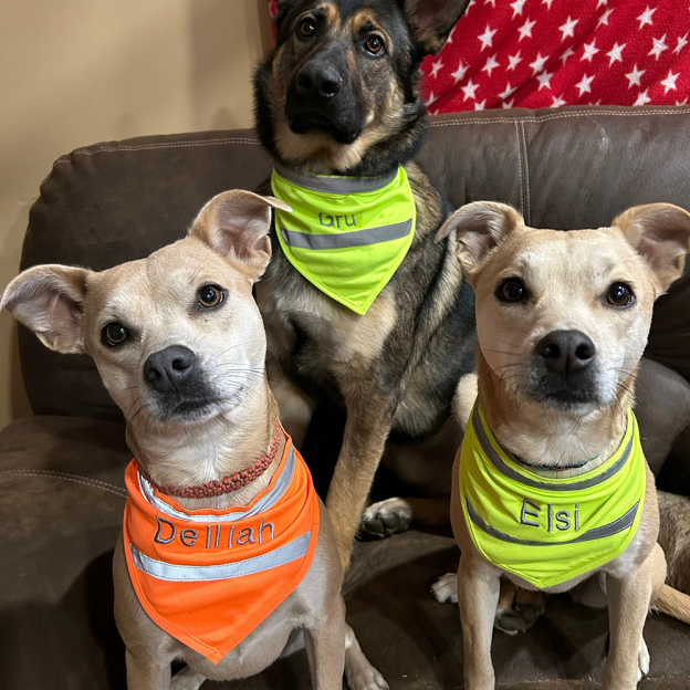 Personalized Pet Reflective Safety Bandana & Vest Set | BKPet163
