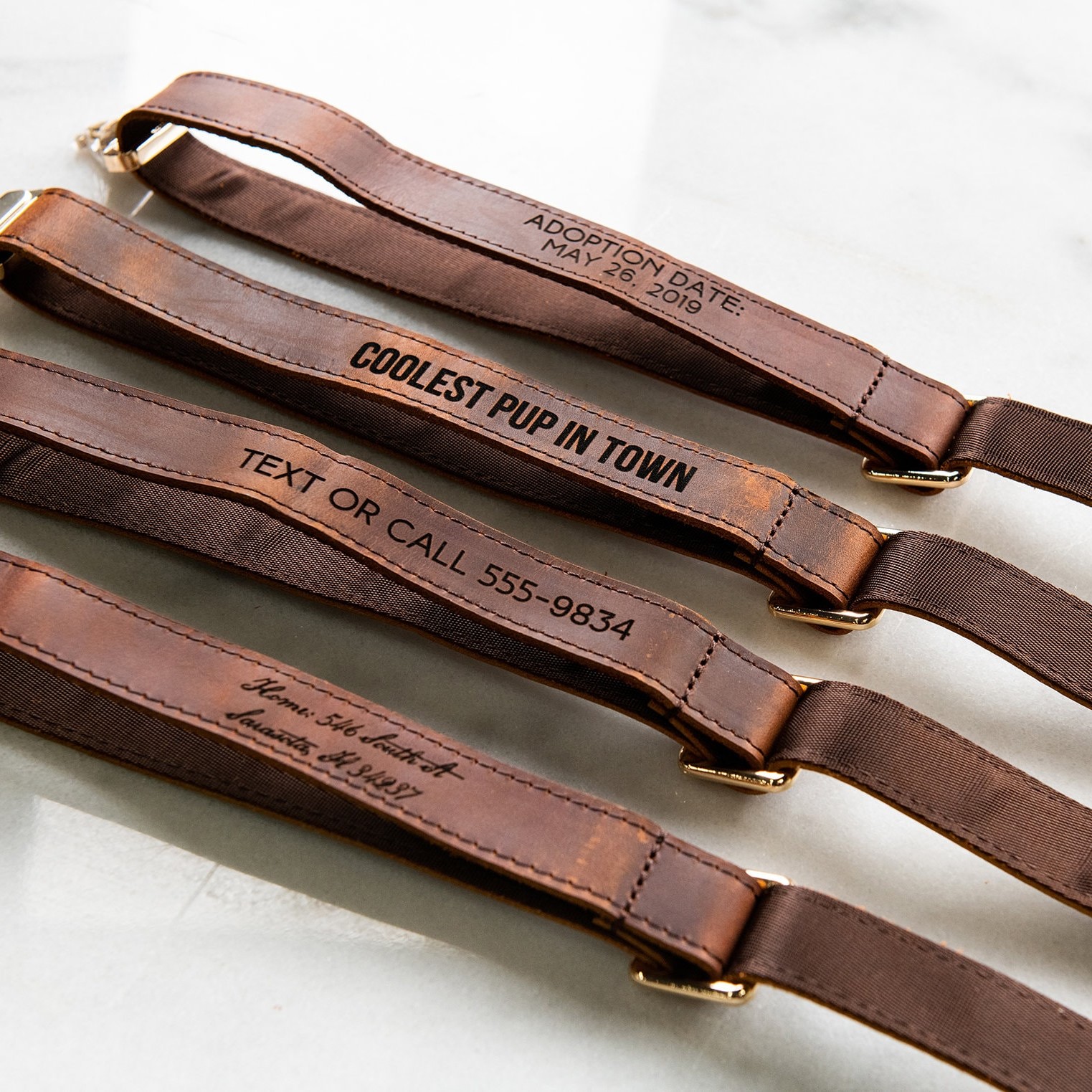 Personalized Name or Information Leather Pet Collar | BKPet151