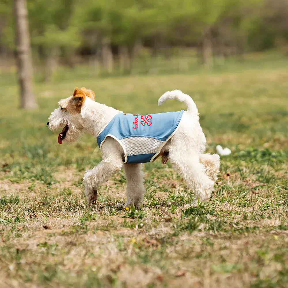 Personalized Summer Cooling Mesh Dog Vest | MNCloth223