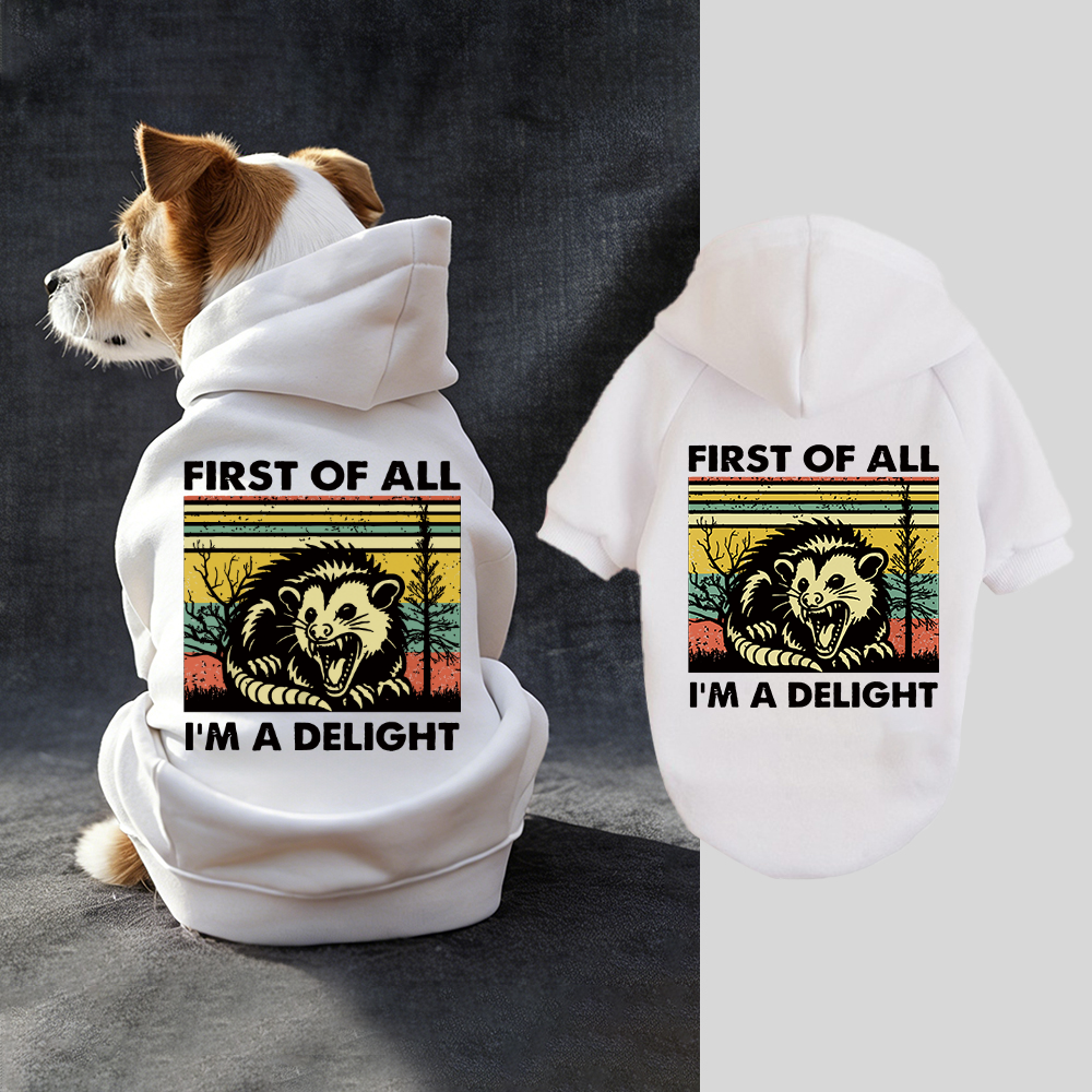 FIRST OF ALL I'M A DELIGHT Puppy Hoodie | BKPet331