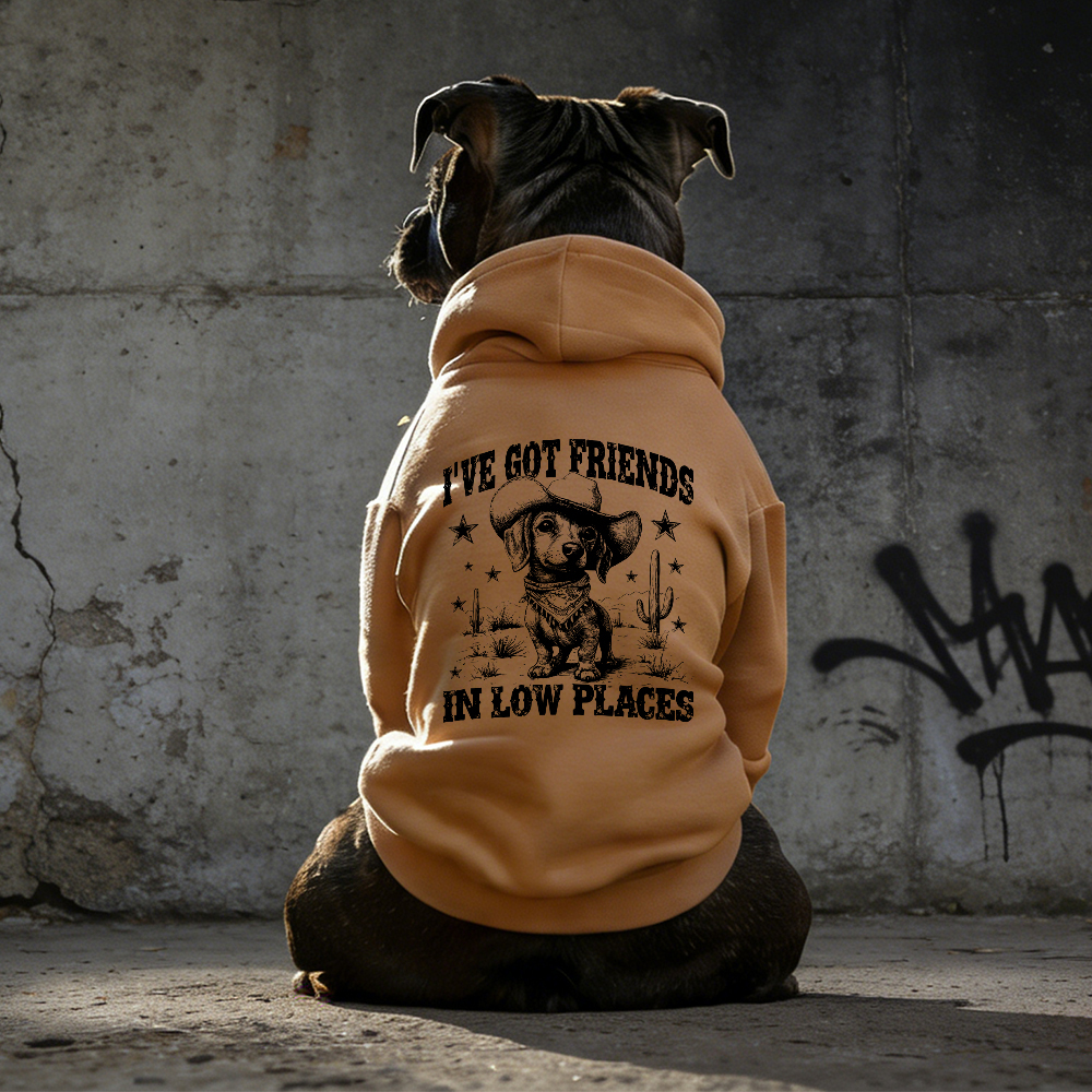 I'VE GOT FRIENDS Puppy Hoodie | BKPet340