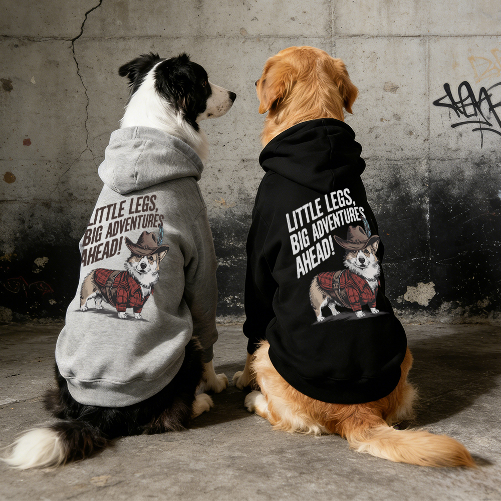 LITTLE LEGS BIG ADVENTURES AHEAD Puppy Hoodie | BKPet341