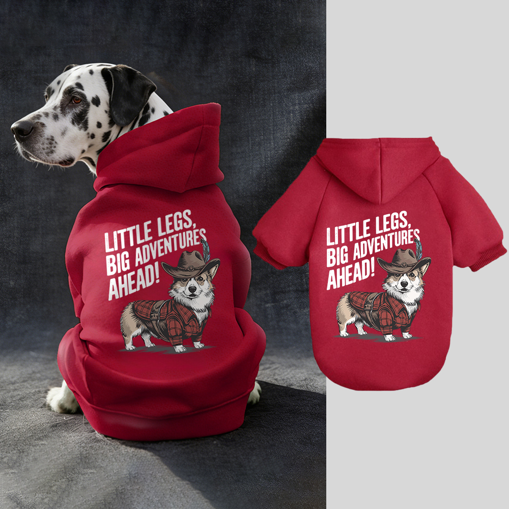 LITTLE LEGS BIG ADVENTURES AHEAD Puppy Hoodie | BKPet341