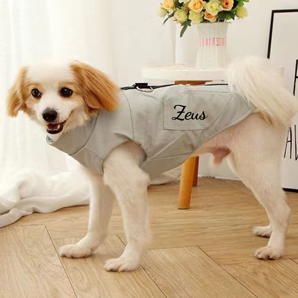 Personalized Pet Winter Warm Windproof Leather Jacket | BKPet361