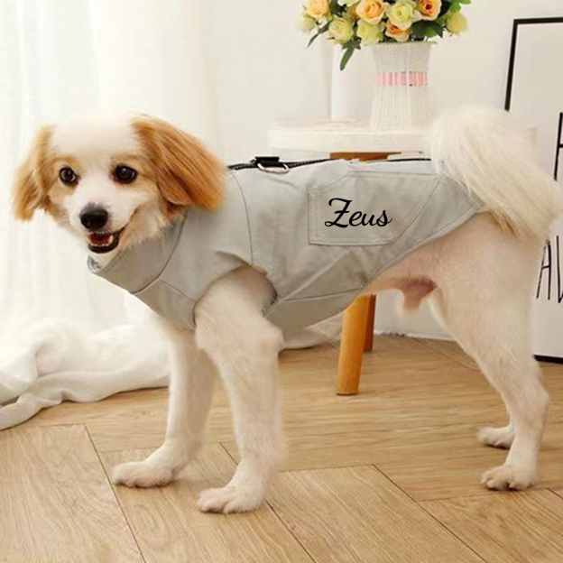 Personalized Pet Winter Warm Windproof Leather Jacket | BKPet361