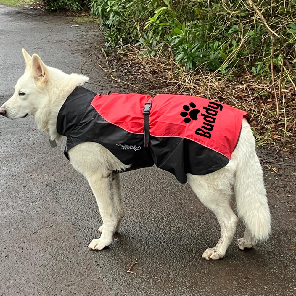 Personalized Pet Large Size Waterproof Raincoat Jacket | BKPet414