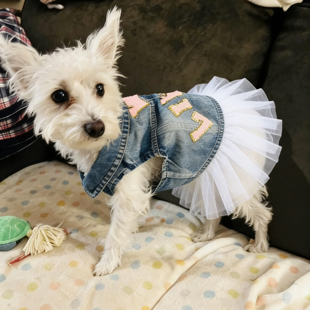 Personalized Hand Patch Pets Denim Jacket with TUTU Skirt | BKPet424